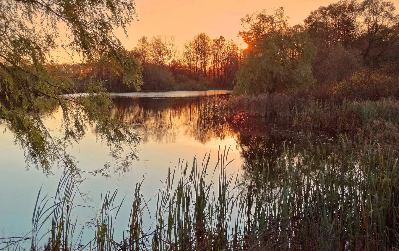 Вечерняя осенняя пелена