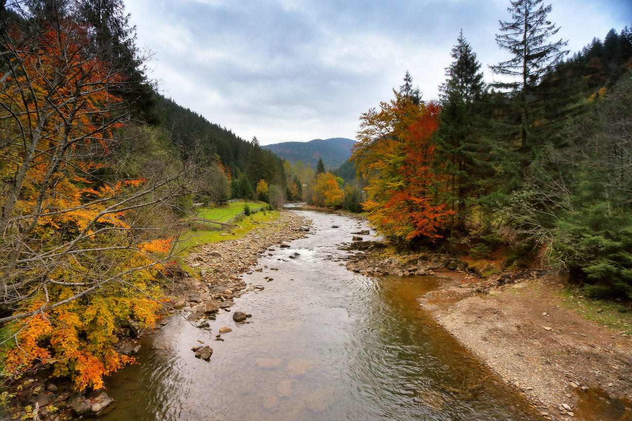 Немного октября