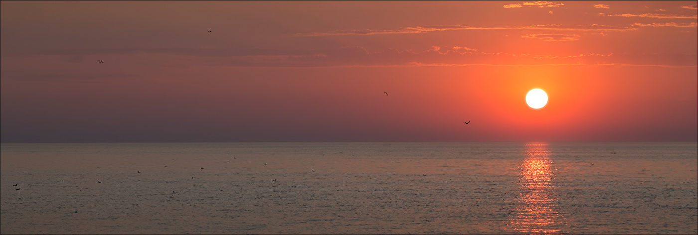 Рассвет и чайки
