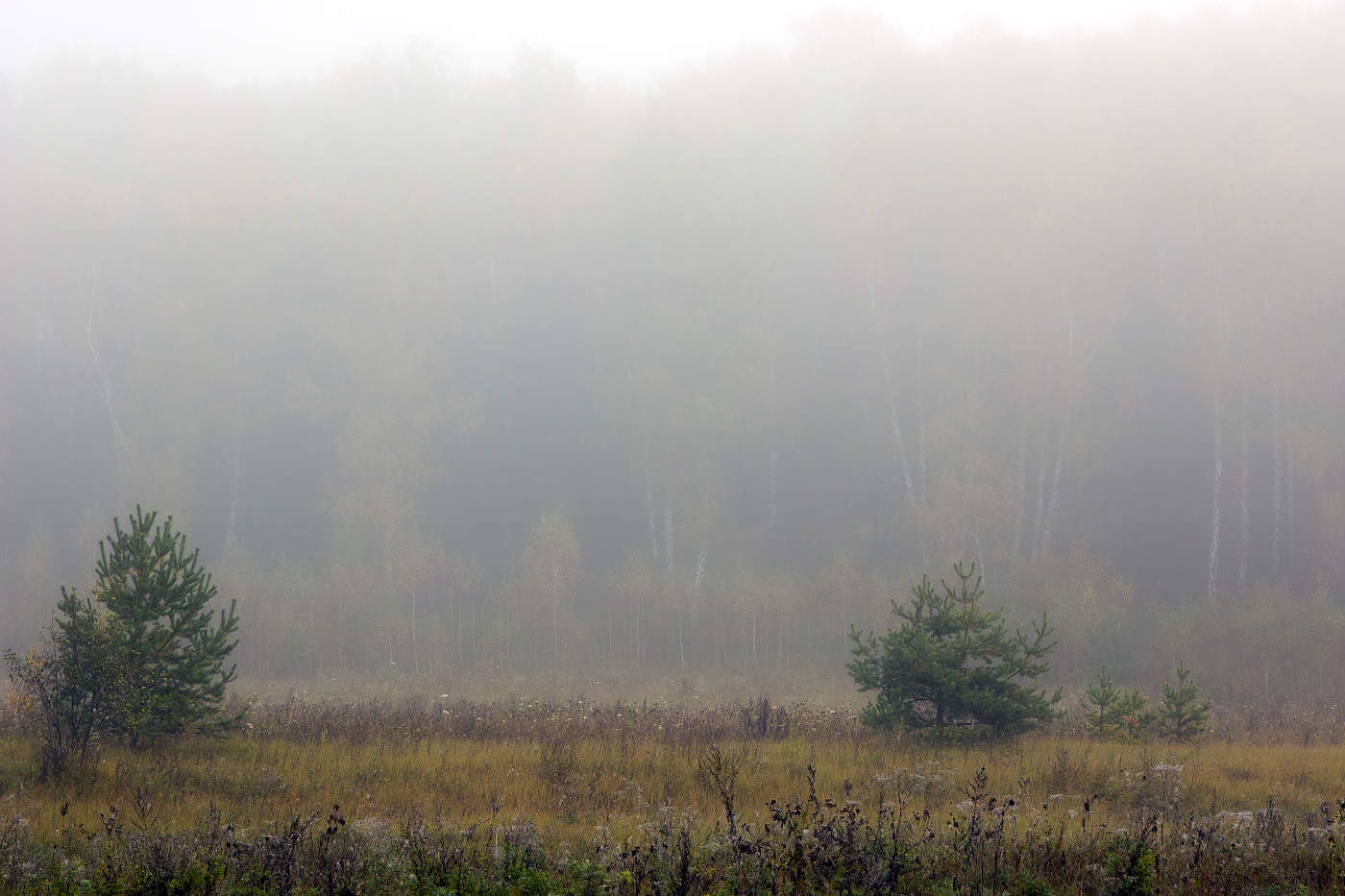 Призраки осени