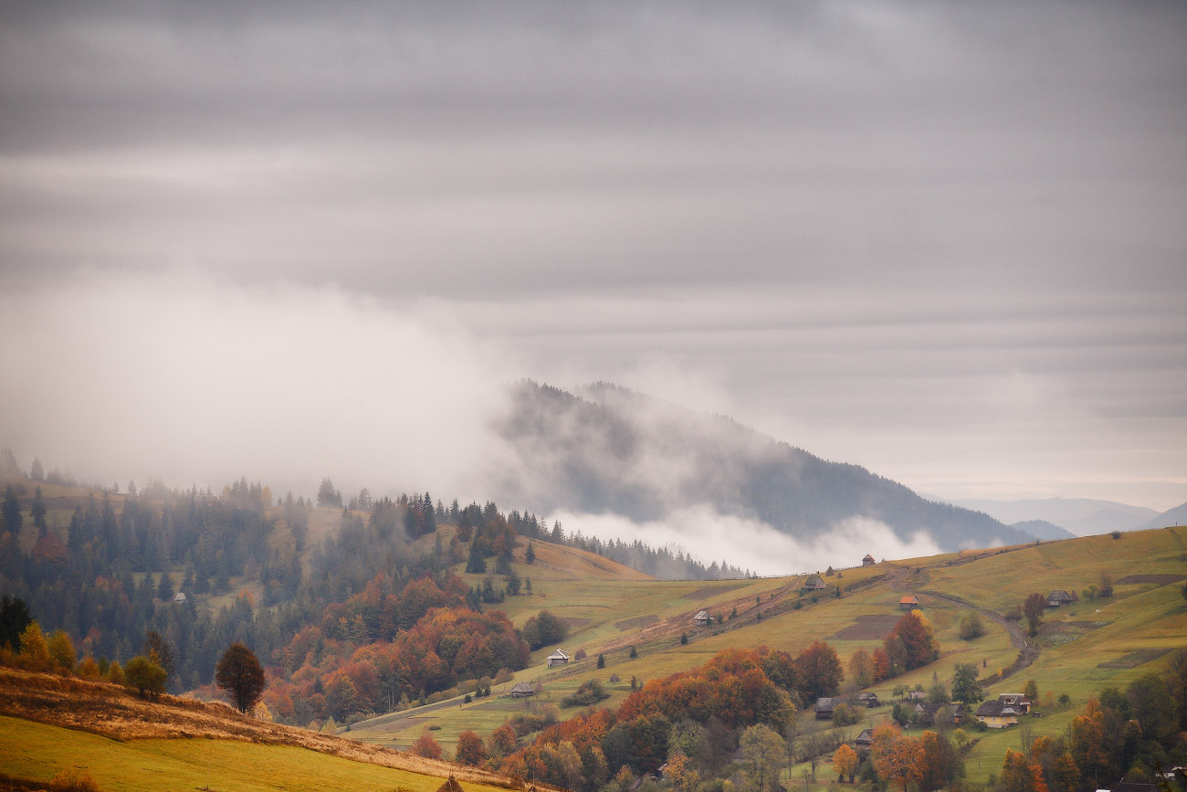 Скоро осень золотая