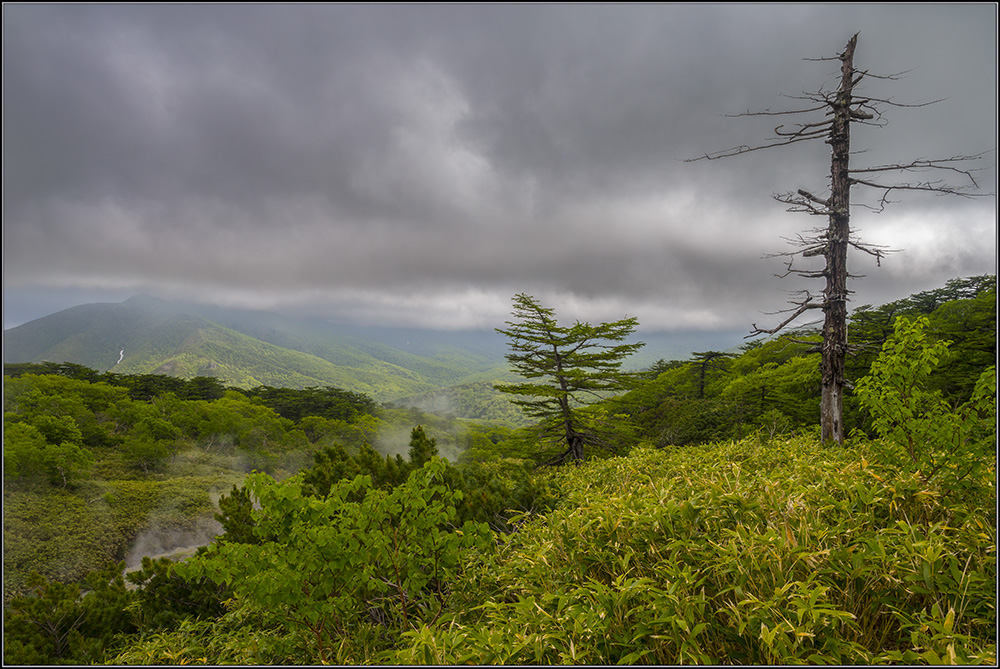 Сказание о земле Курильской
