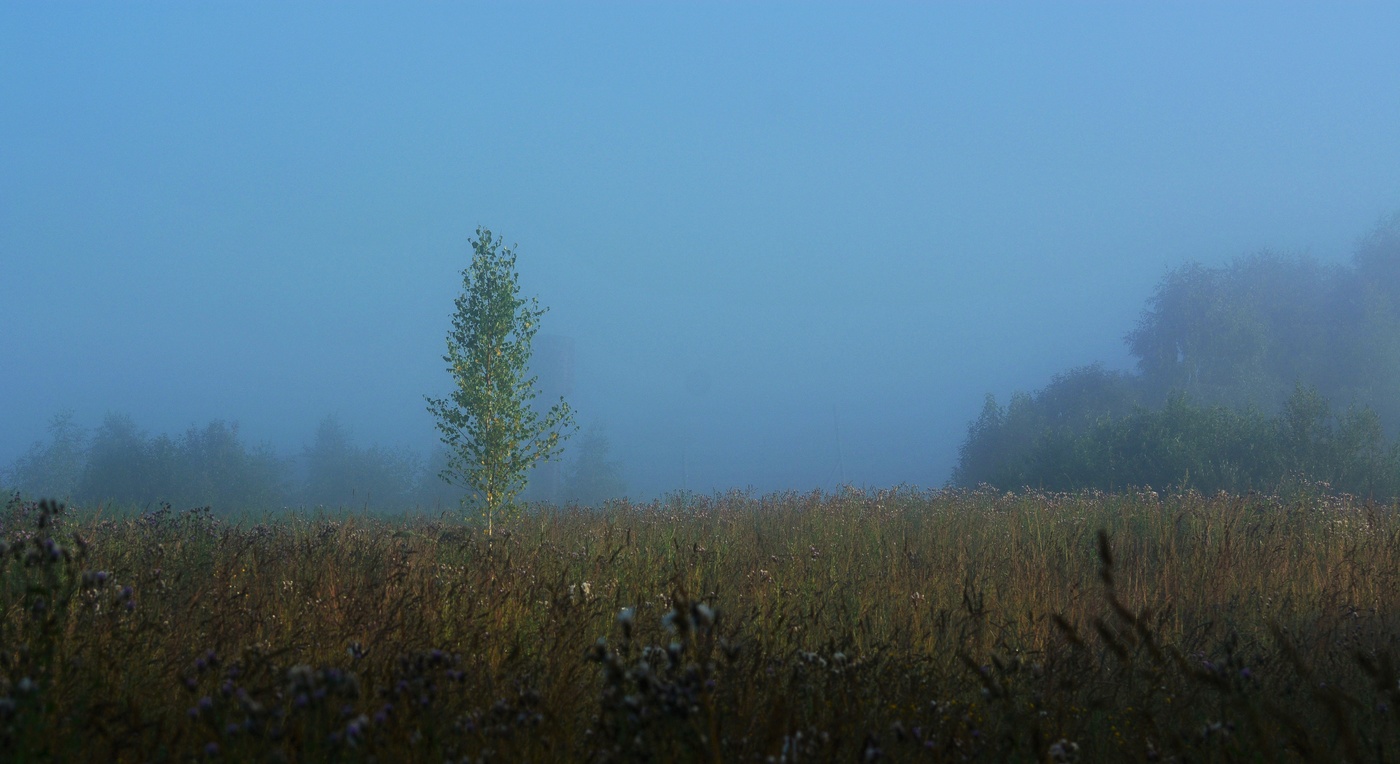"Во поле березонька стояла ..."