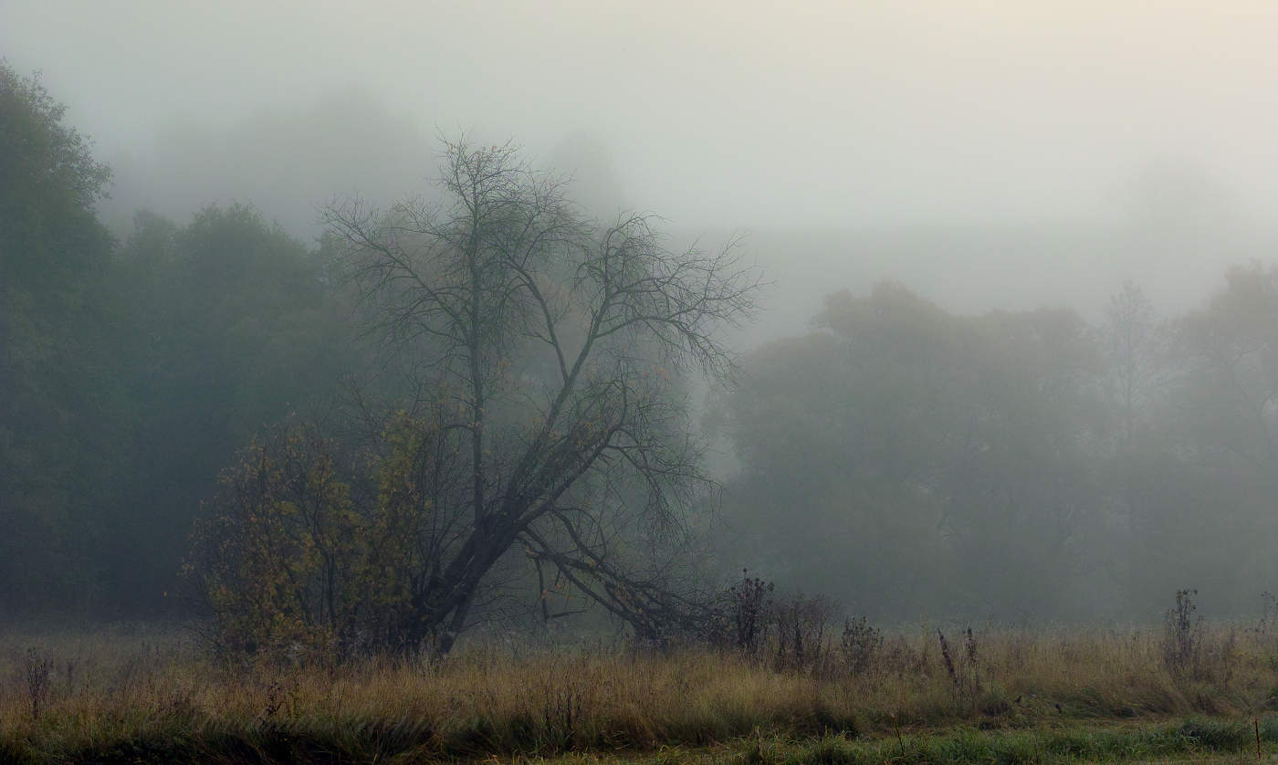Осенняя грусть