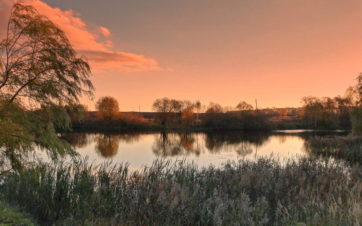 Осенний розовый закат