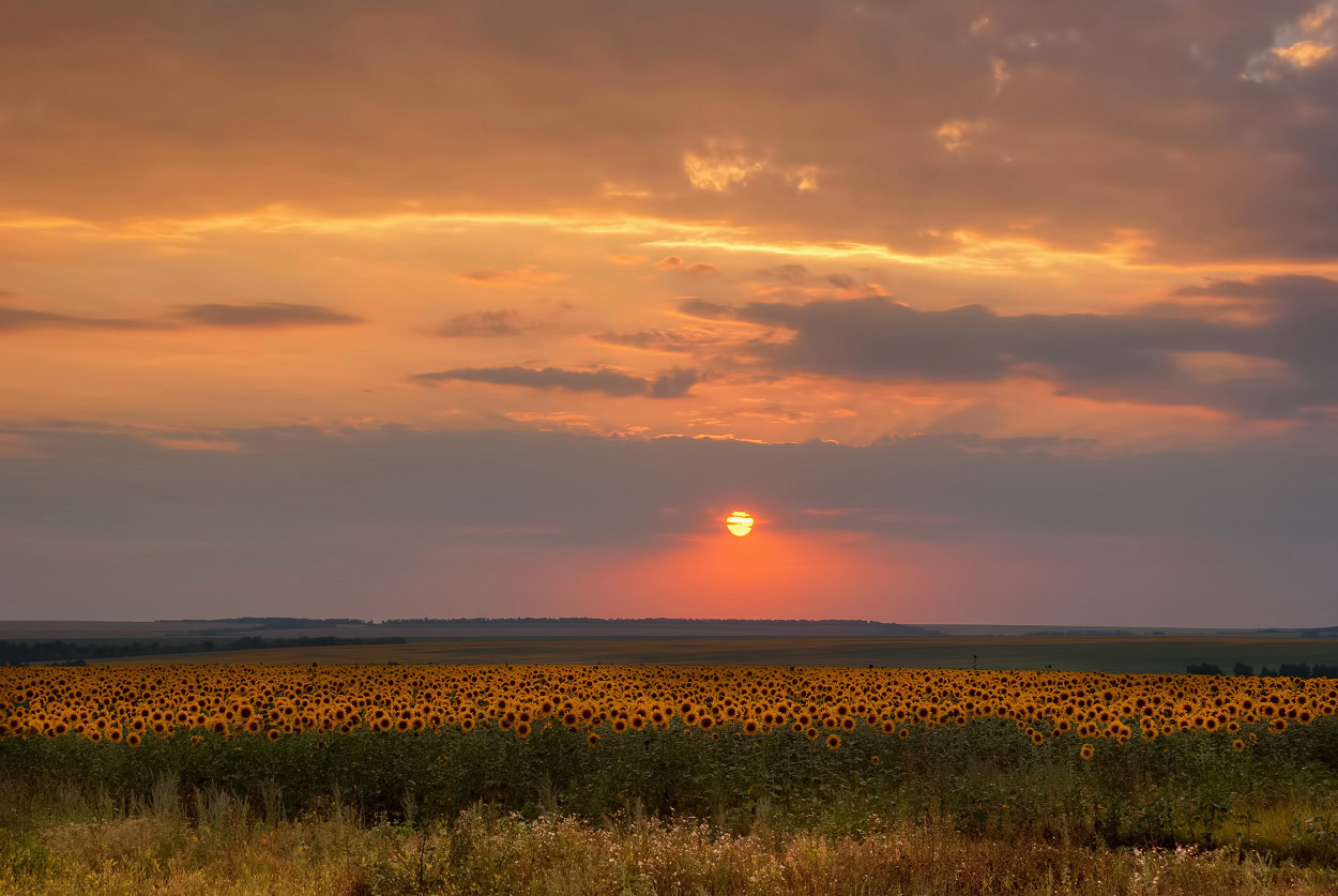 Моменты заката