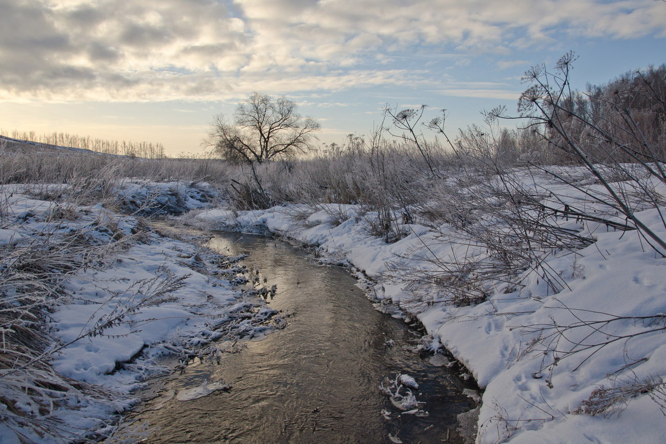 Малые реки России. Холкельца