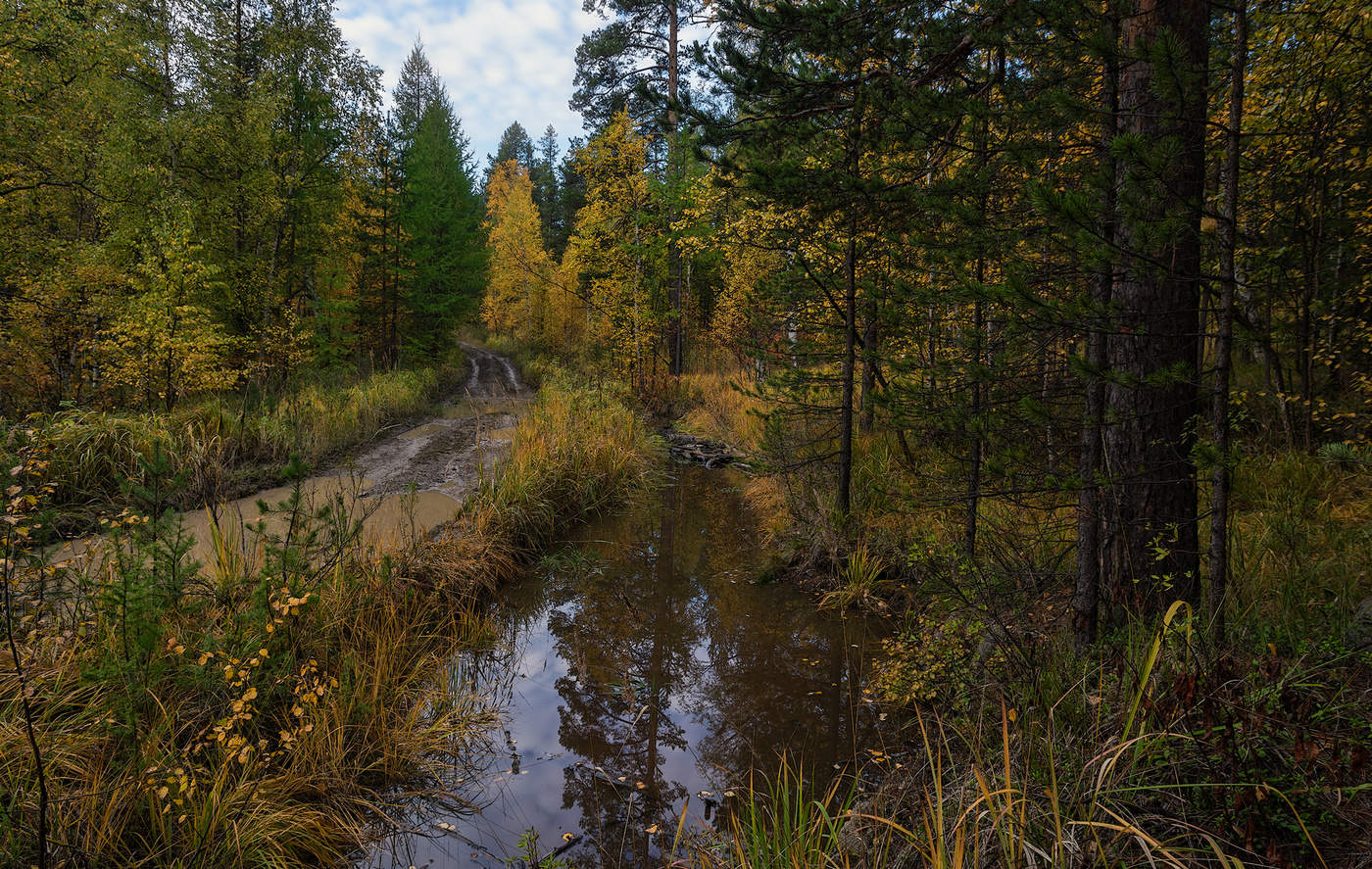 Осенняя дорога