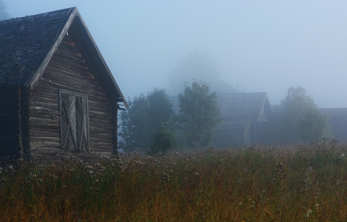 Пока проснулись только петухи ...