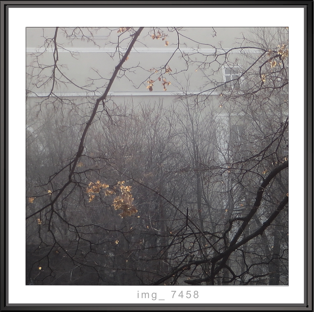 оттенки серого