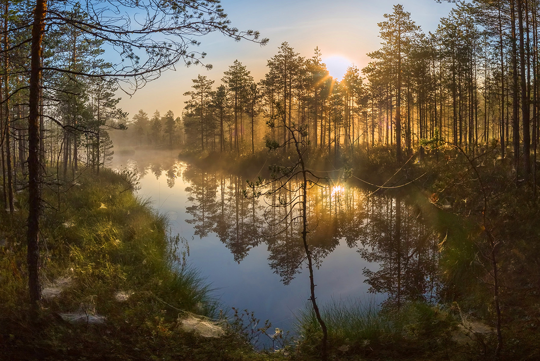 Хорошее утро