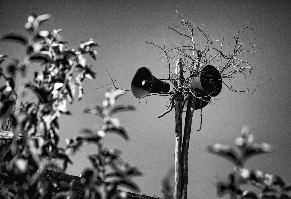 Радиоточка.