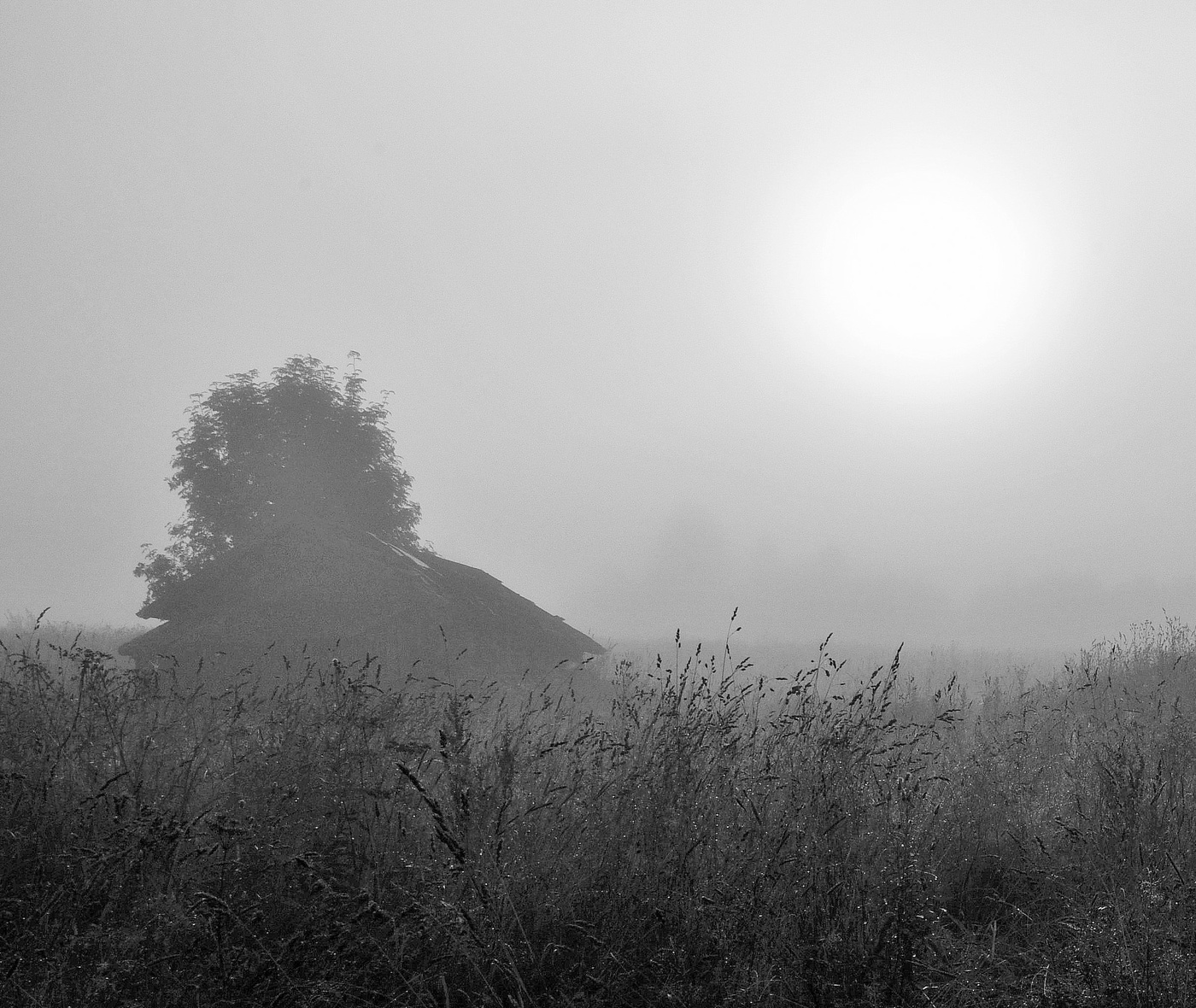 Время росы ...