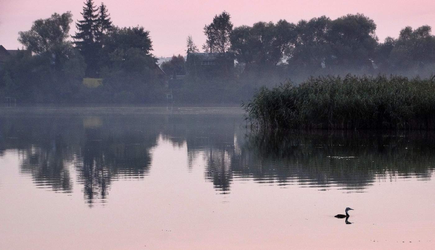 Вечерний туман окутывает деревню