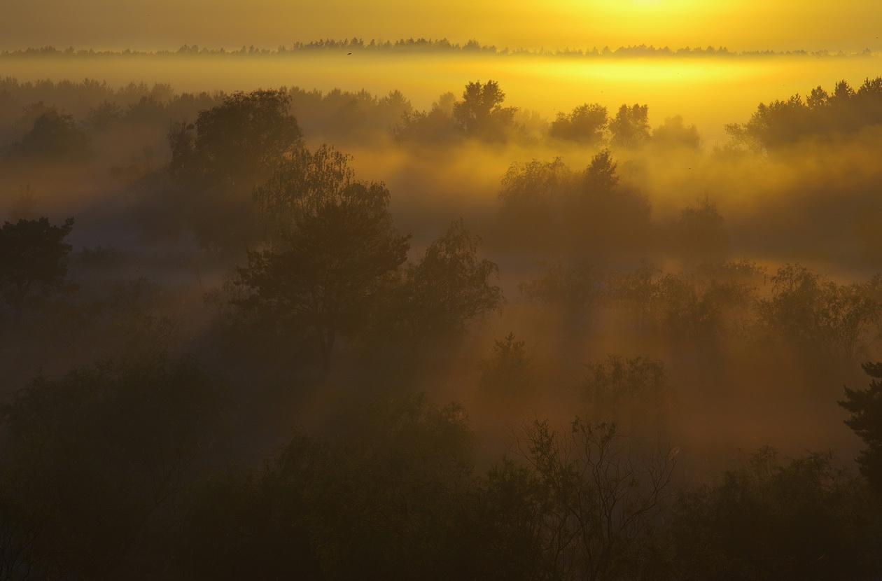 Разливался утренний свет