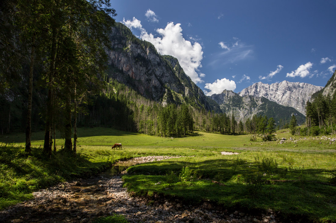 Классика пасторали