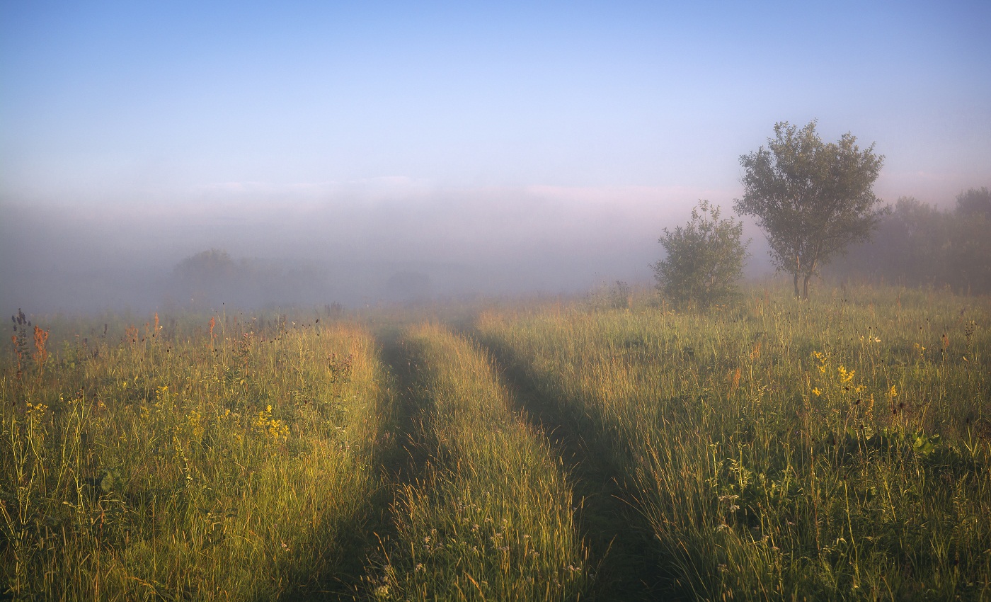 Летним утром.