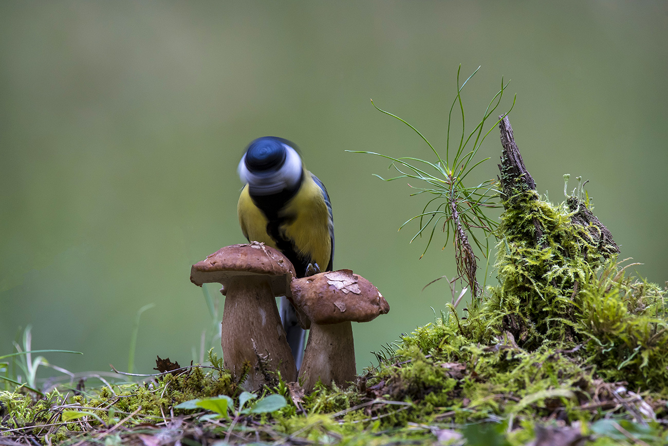 Закружила жизнь...завертела.