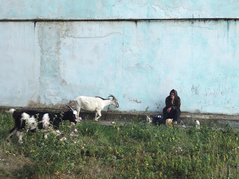 Сентябрьская дева