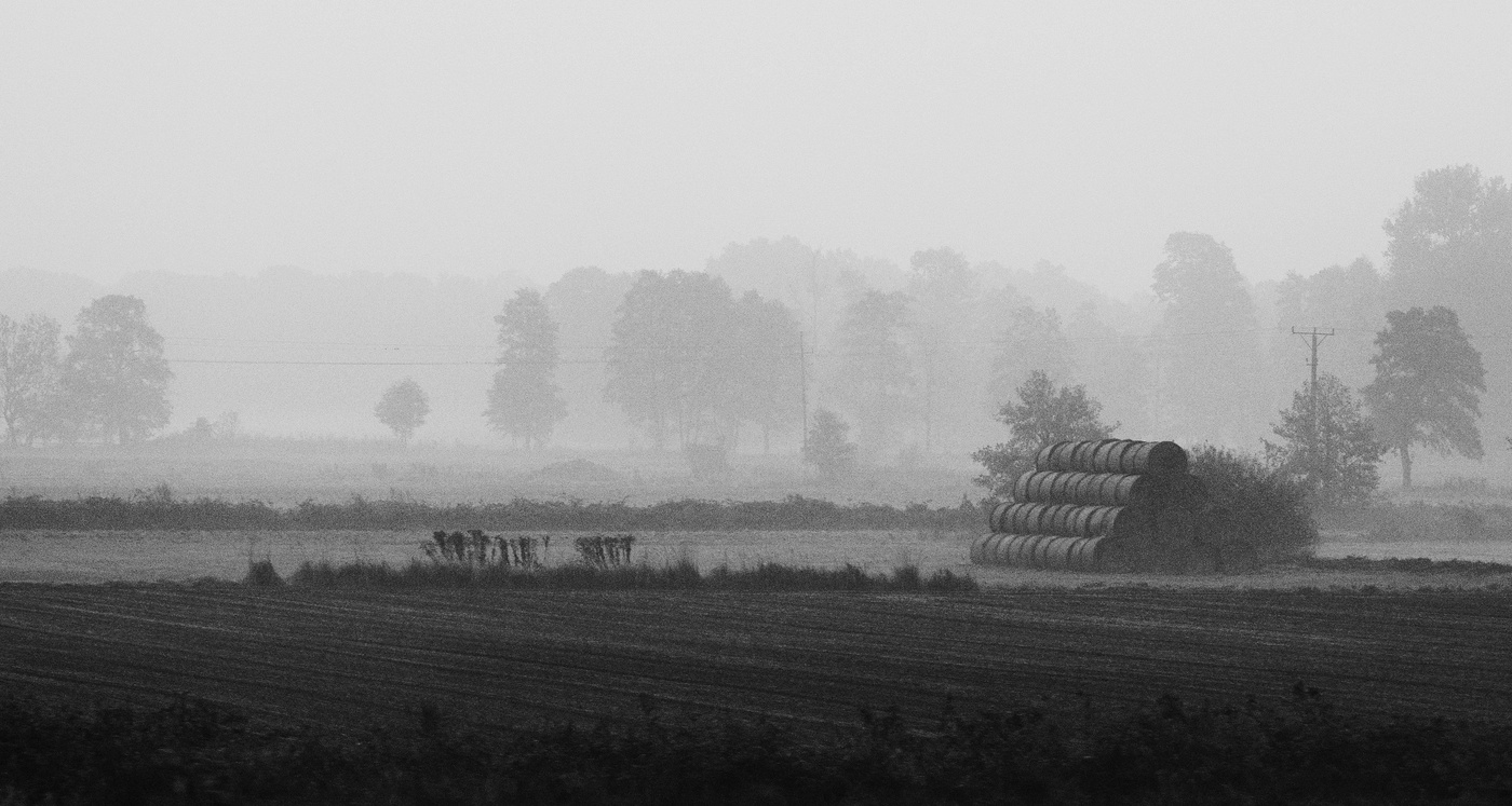 "В последних числах октября ..."