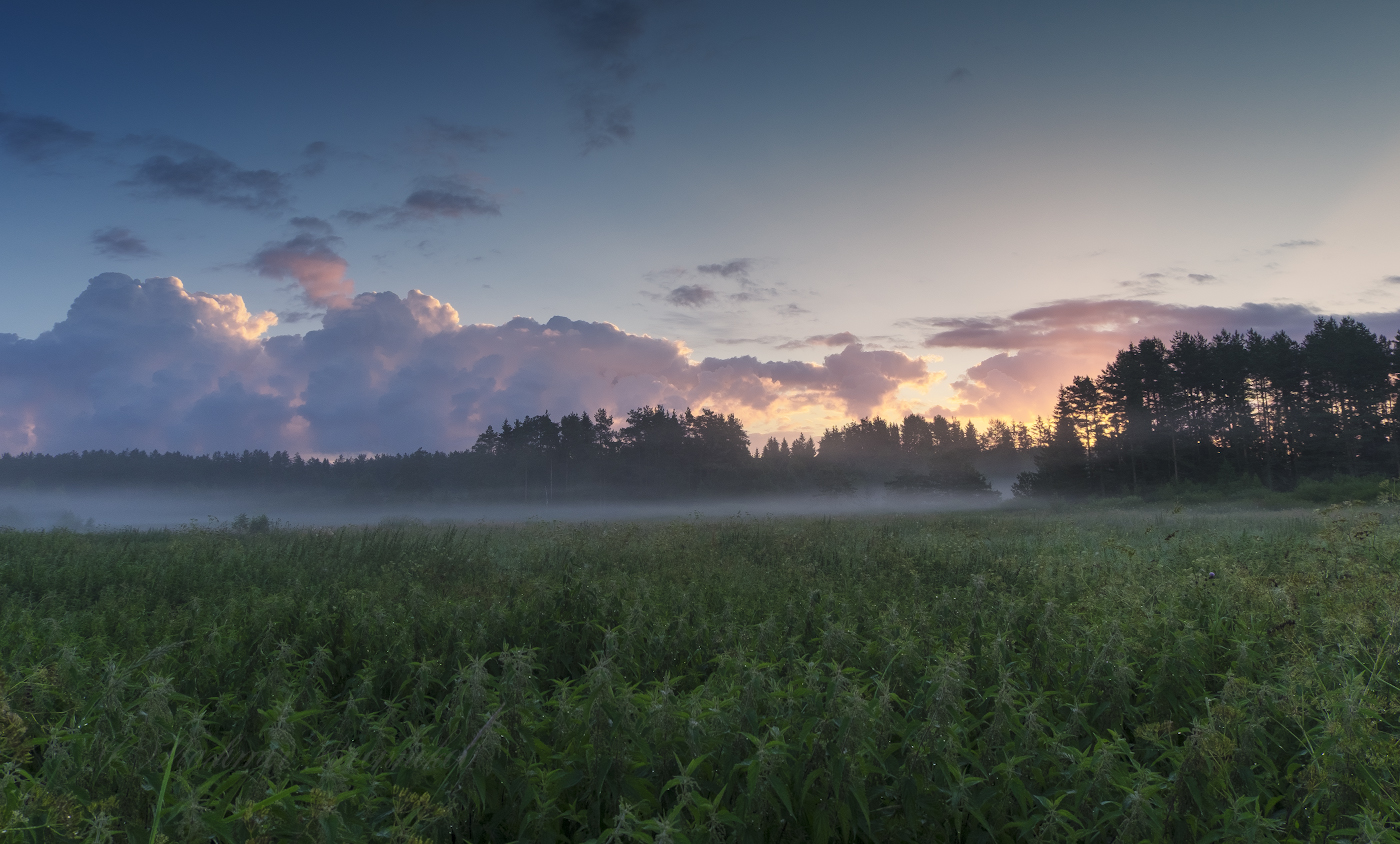 Лёгкой струйкой стелется туман