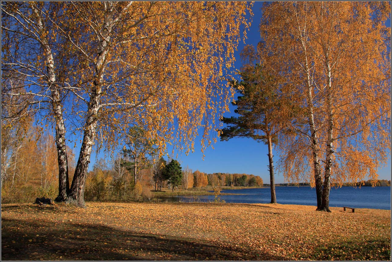 Без названия