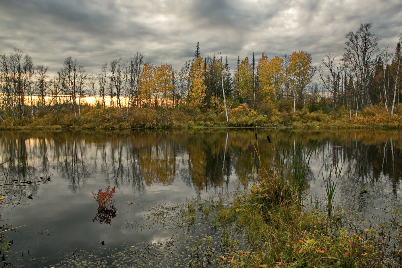 *ЛЕСНОЕ ОЗЕРО**