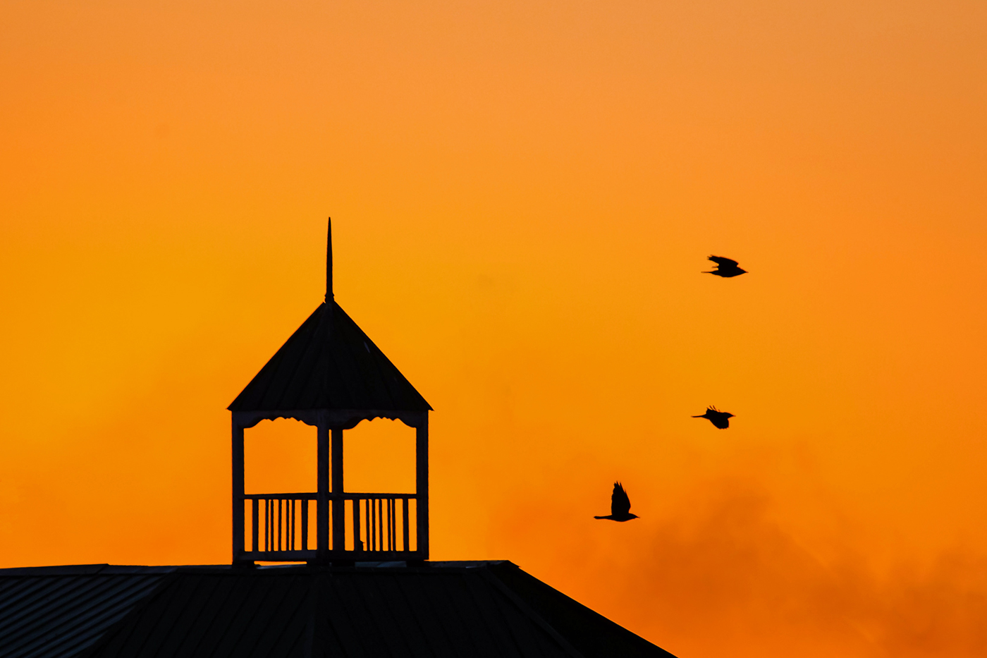 Вечерний полёт