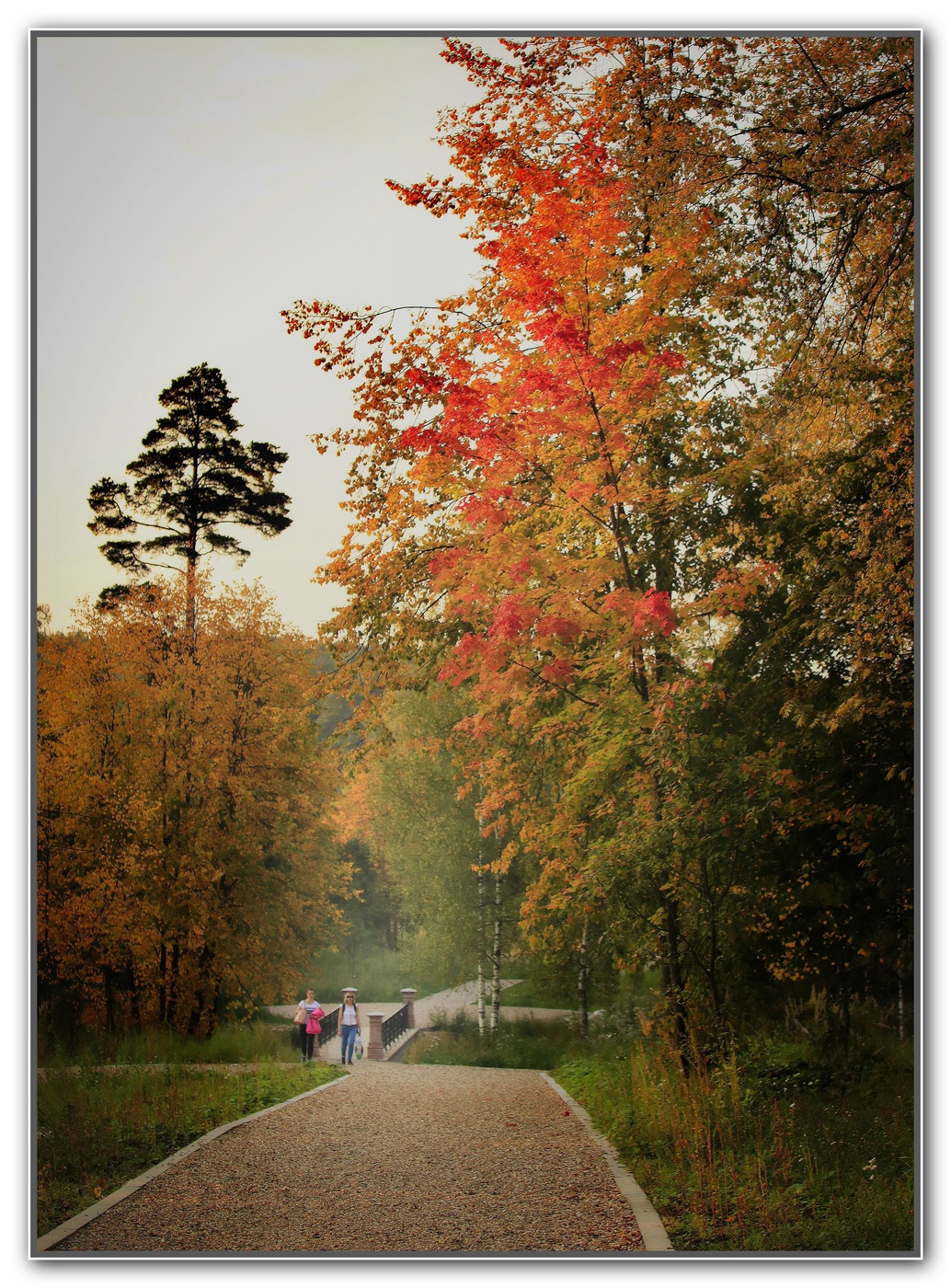 В багрец и в золото одетые леса