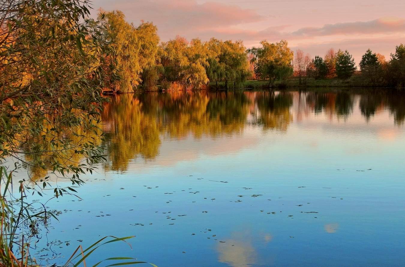 Разноцветная осень