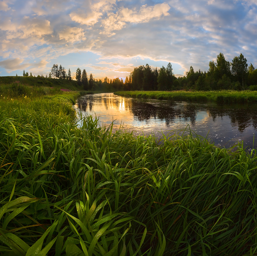 Роса на рассвете
