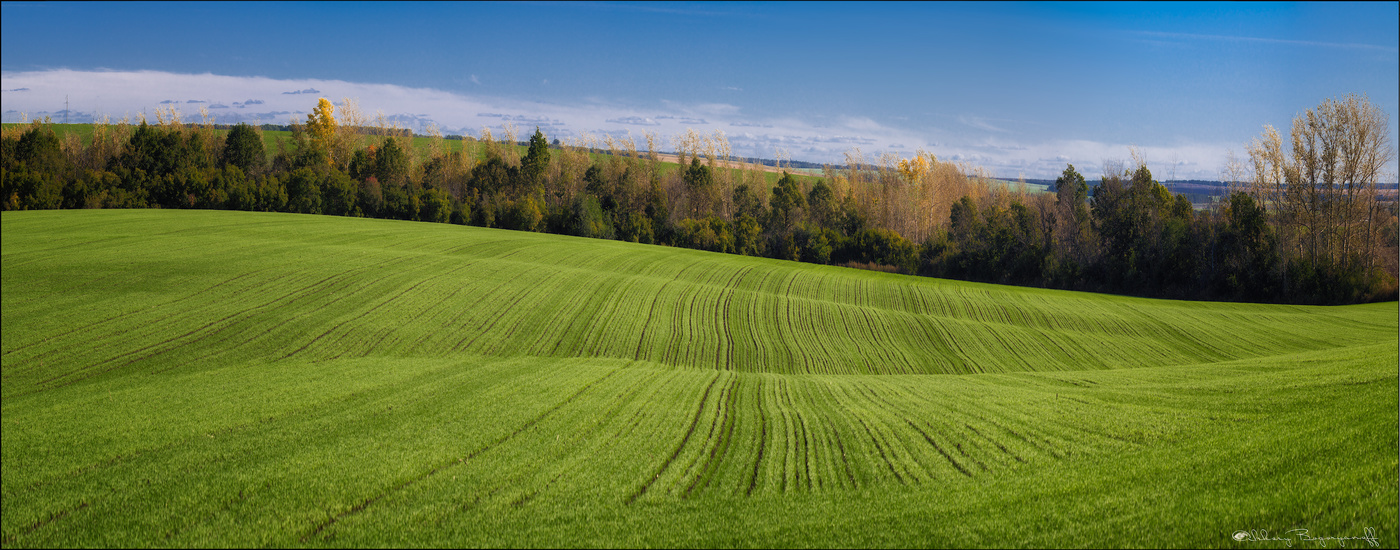 Благодатная осень.
