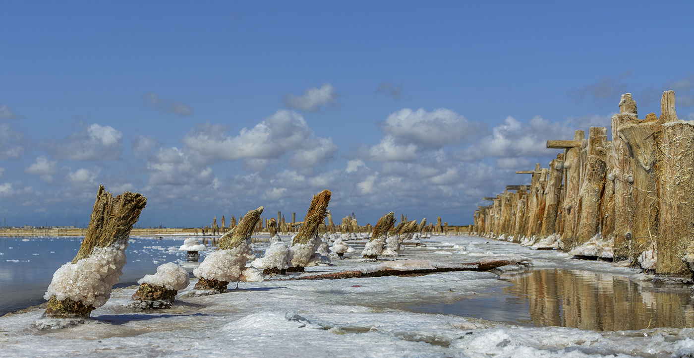 На соленом озере.