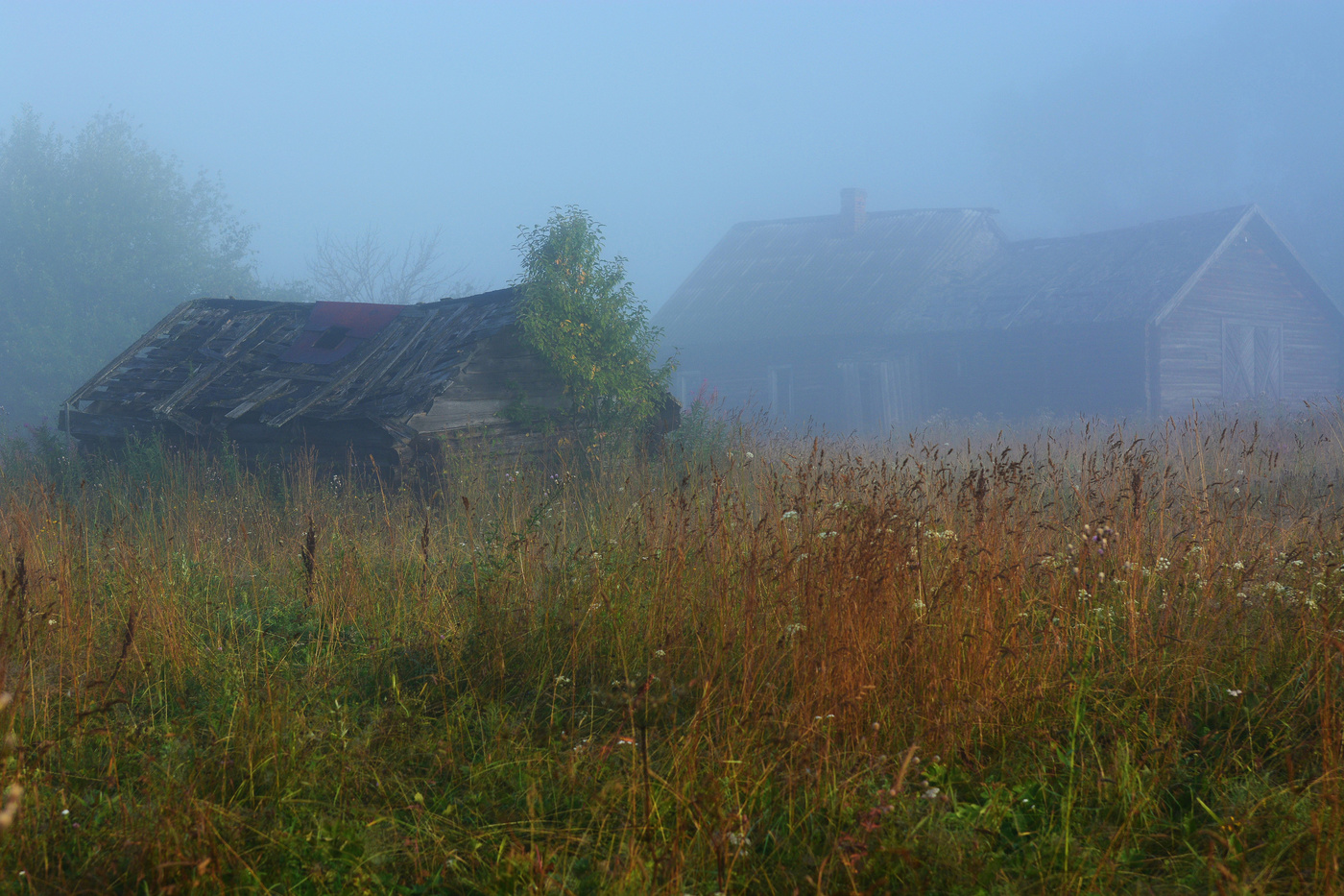 Утро в заброшенной деревне ...