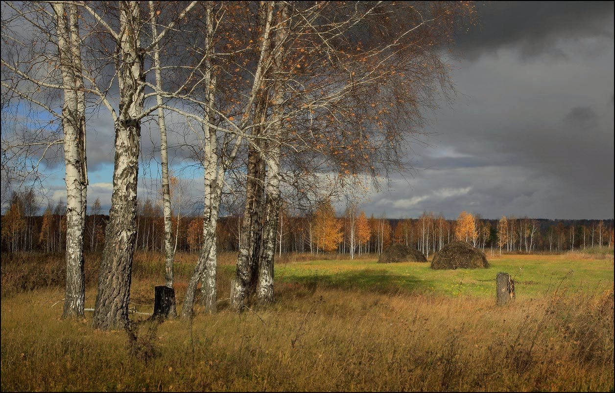 Осенние сюжеты...