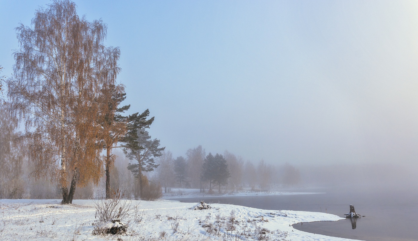 В ожидании зимы.