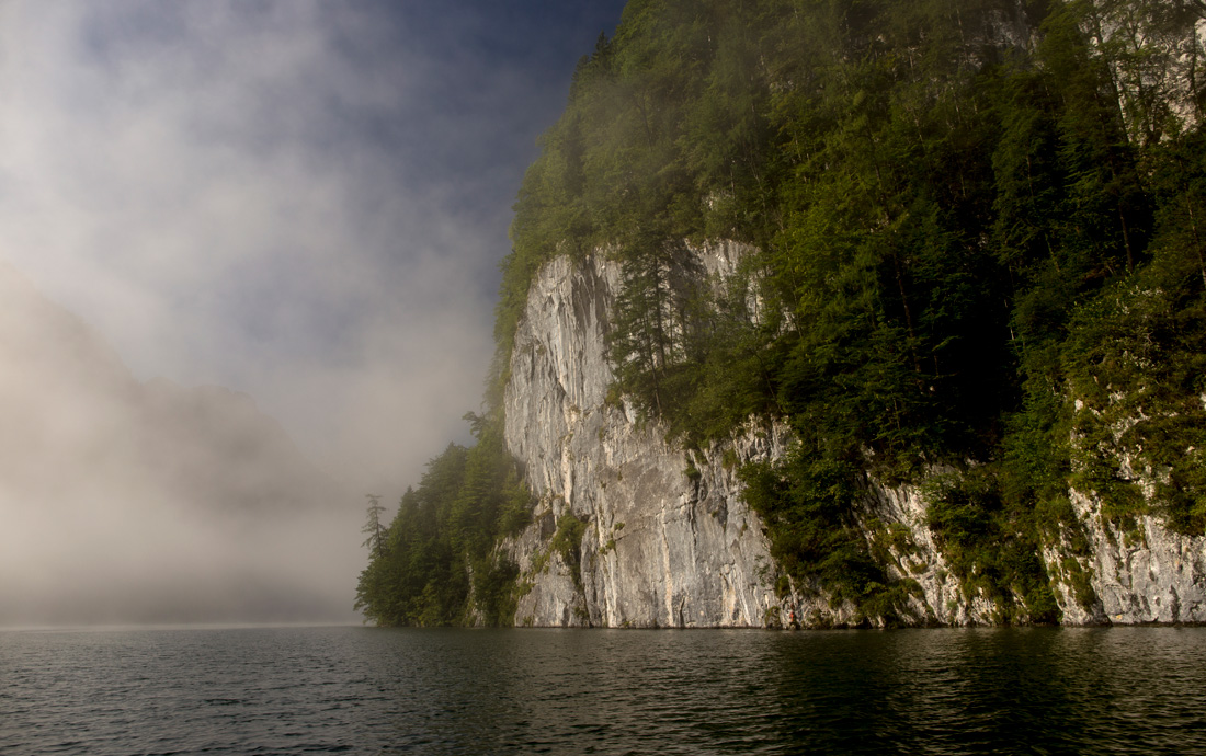 Из тумана выплывает