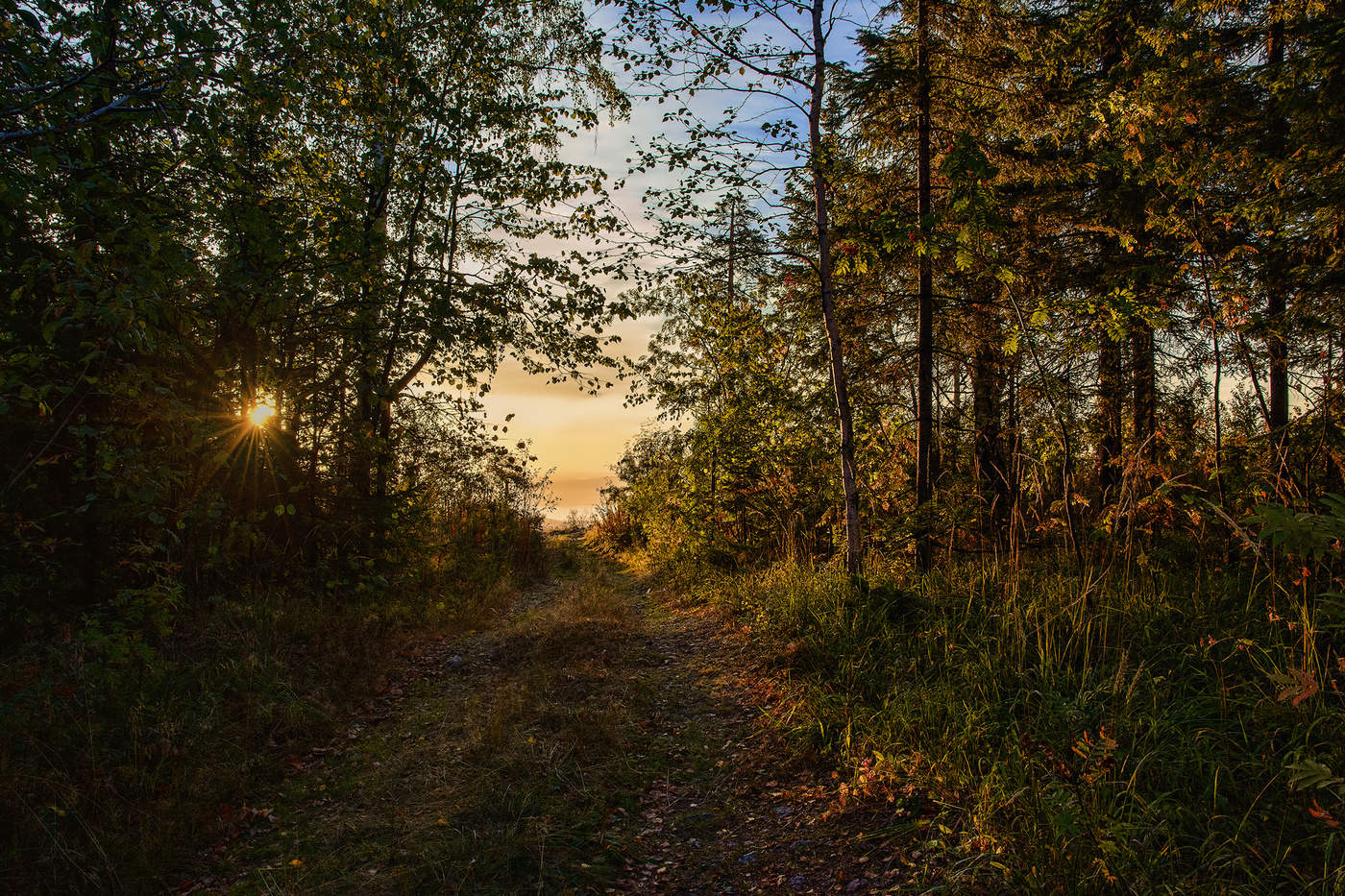 Утренние лучи