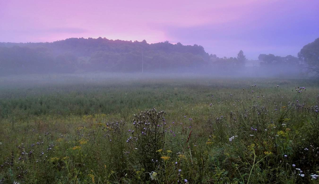 Да будет свет