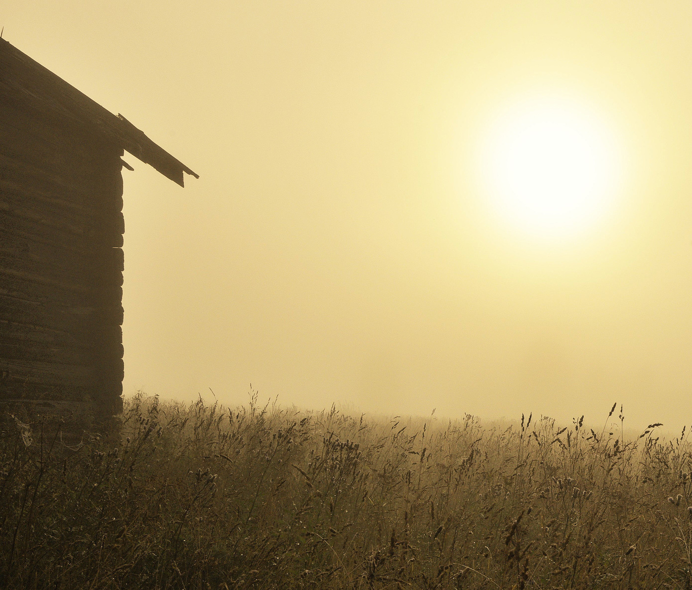 Утренний минимализм ...