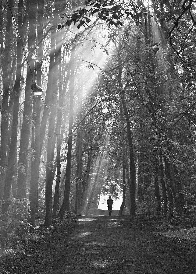 Да будет свет