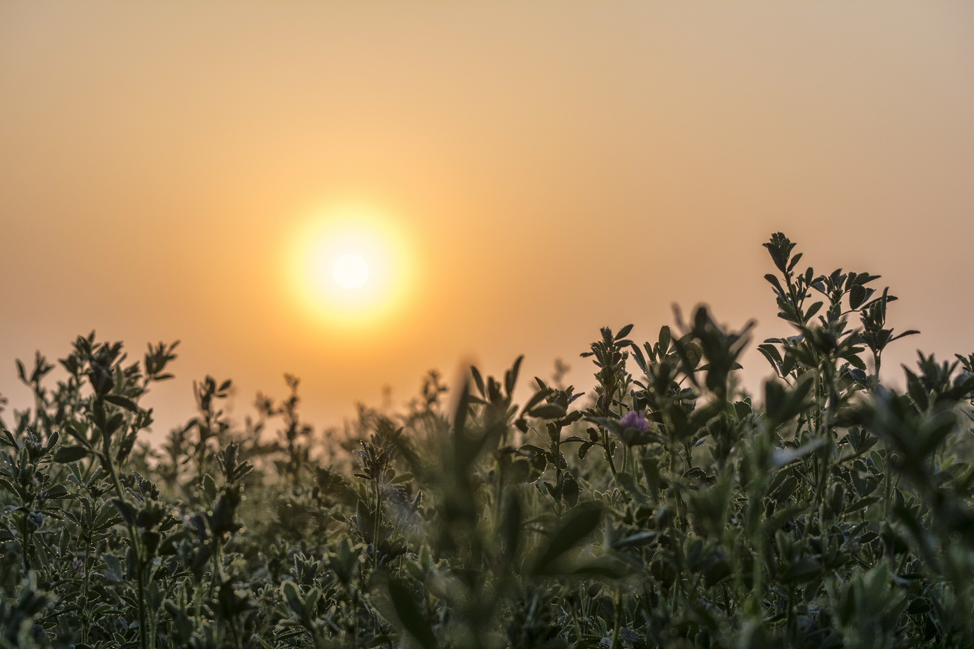 Да будет свет