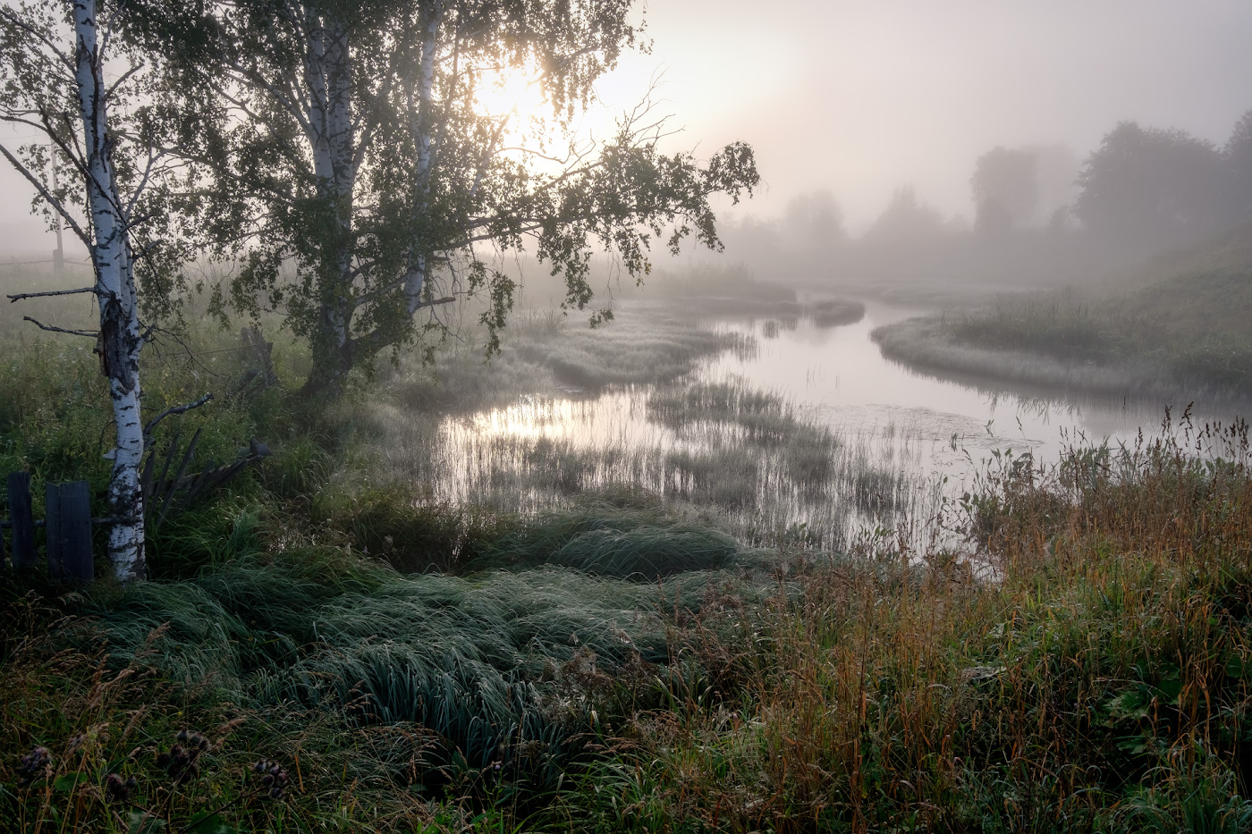 Туманный Волин