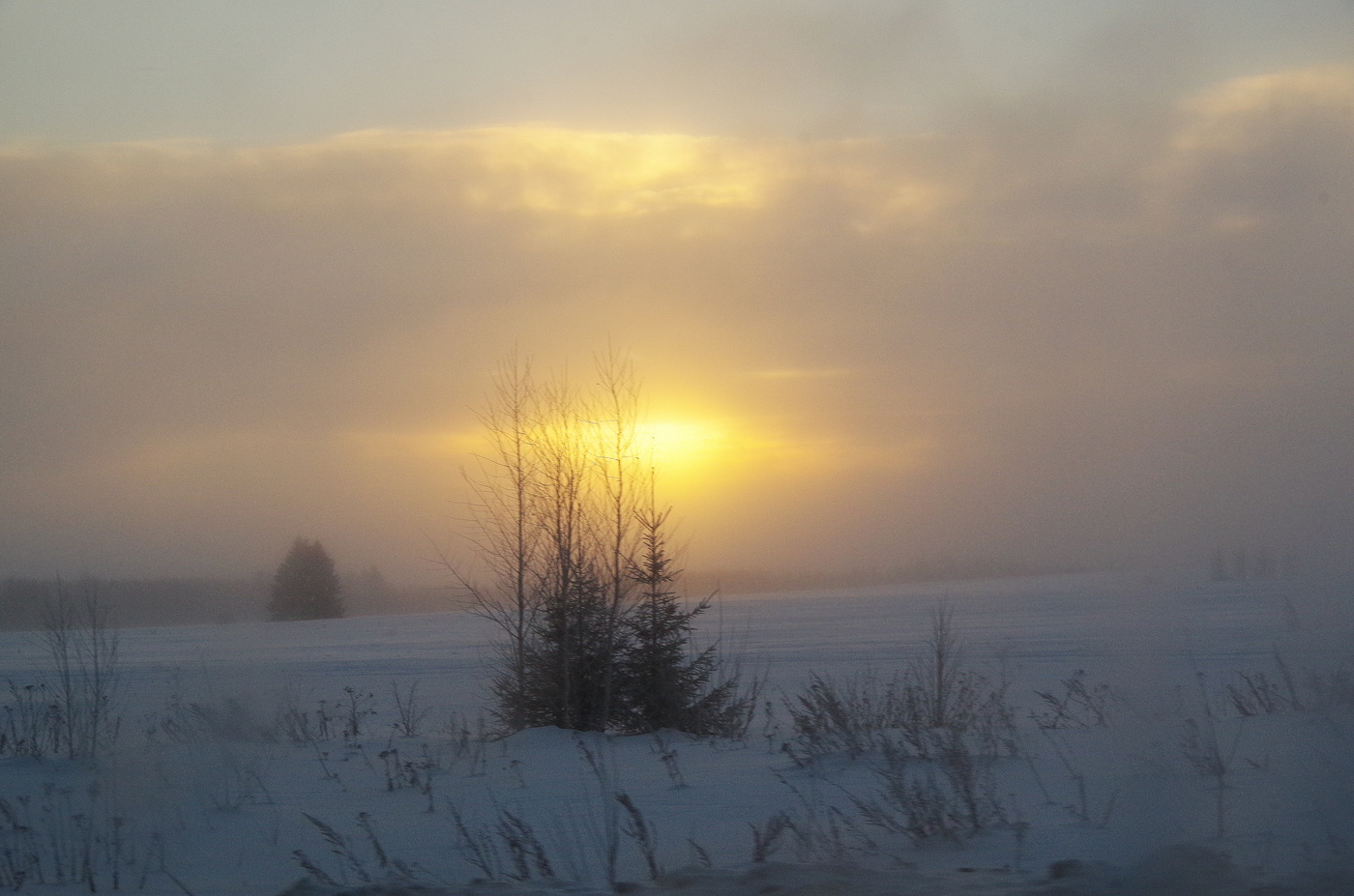 Да будет свет