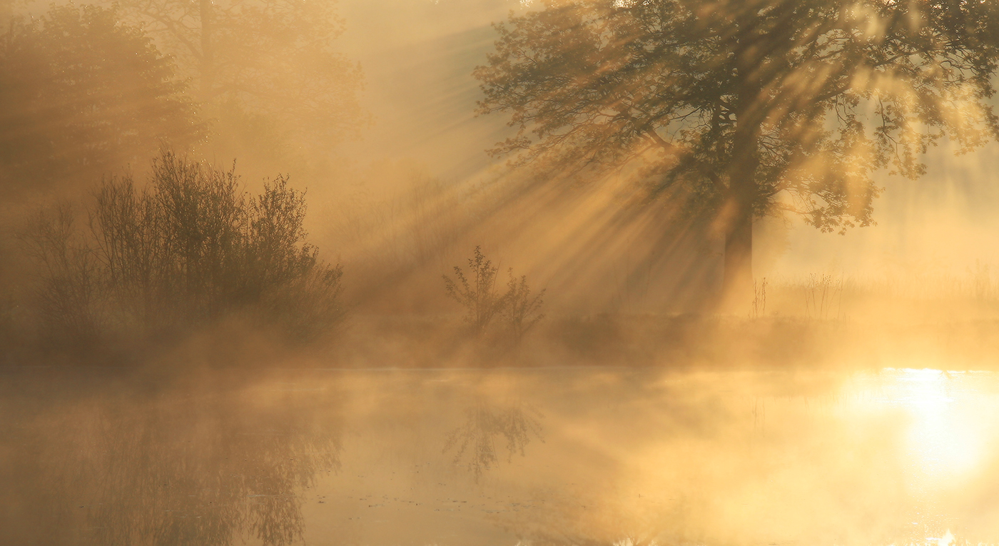 про солнечный свет