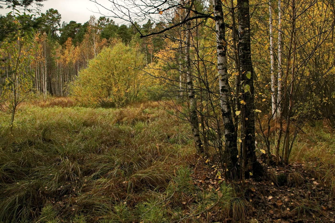 *В СЕНТЯБРЕ**