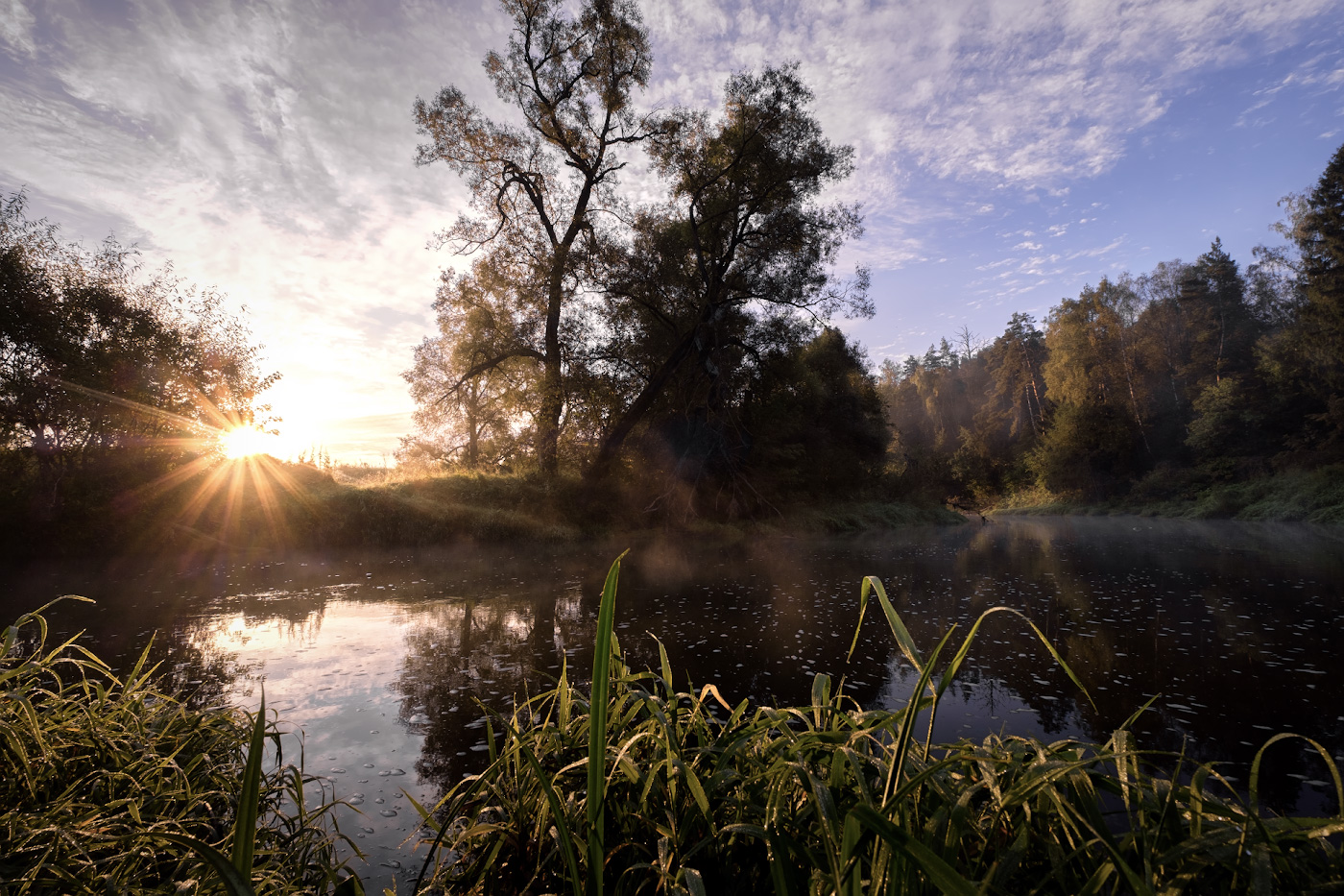 Солнце за Истрой