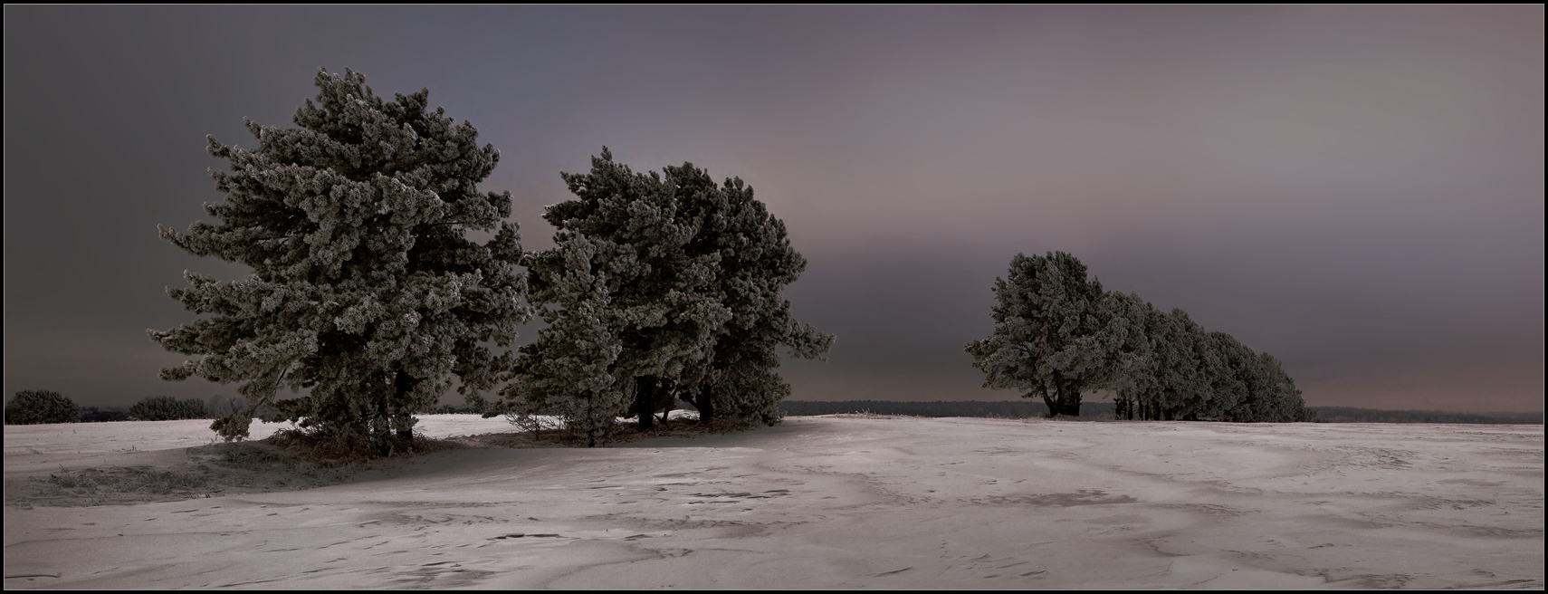 Застывшие в декабре...