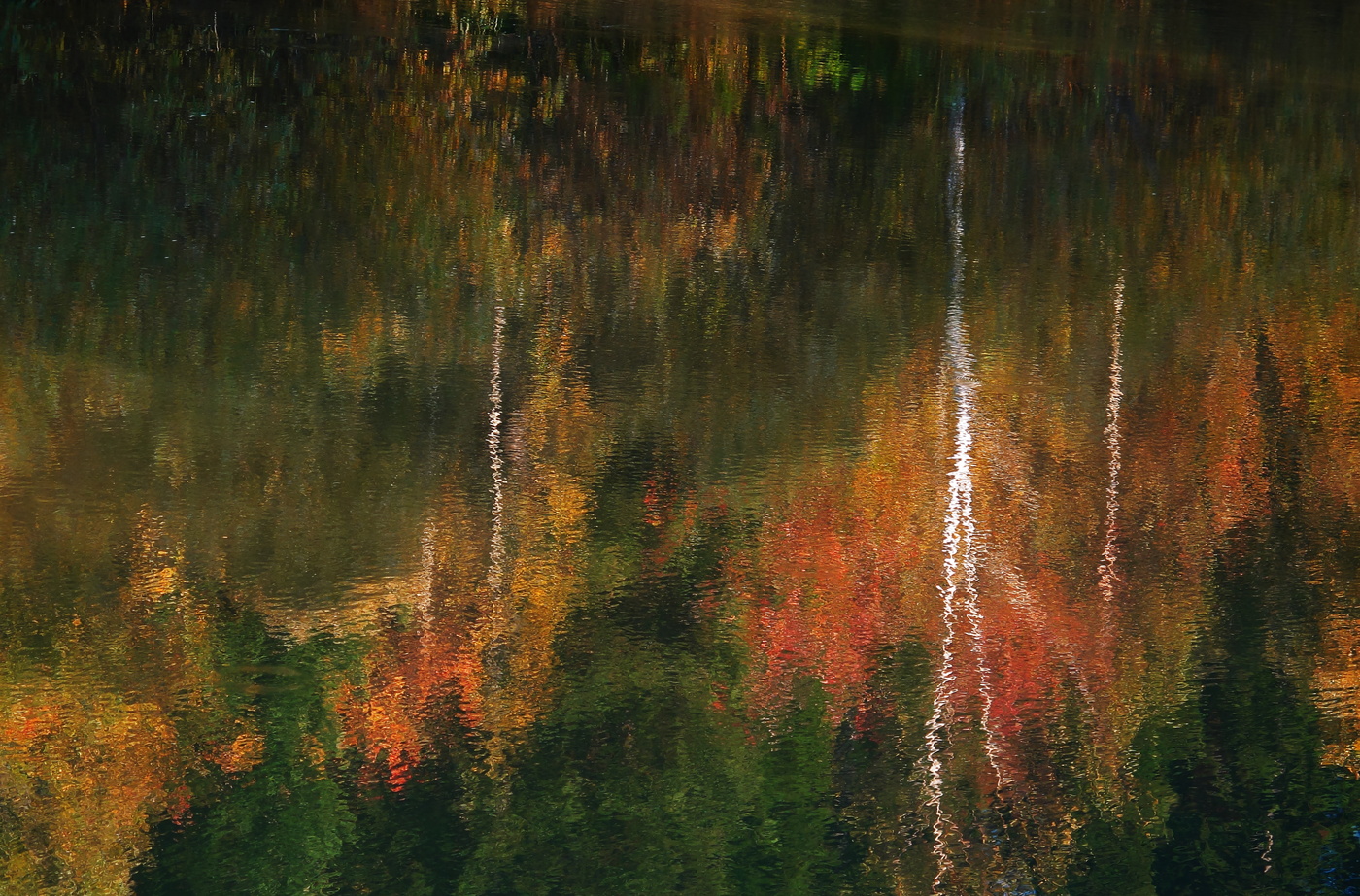 Феерия мазков пастели, узоров чудных карнавал