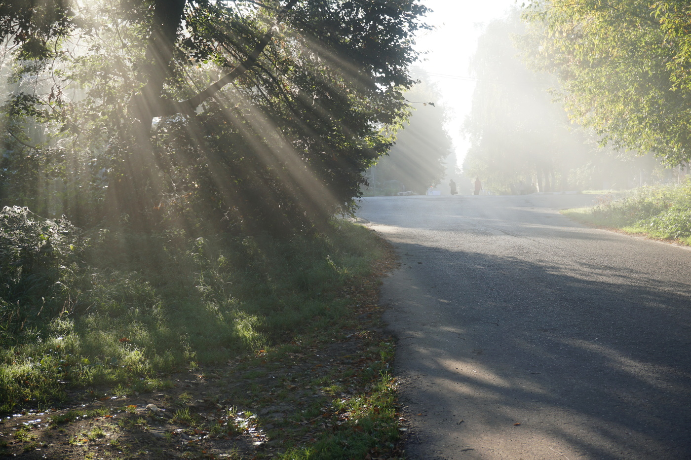 Утро сентября.